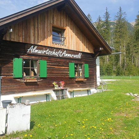 Ammerwald Alm Plansee Extérieur photo
