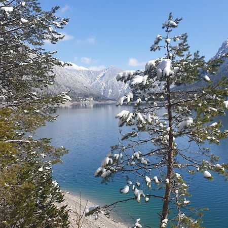Ammerwald Alm Plansee Extérieur photo