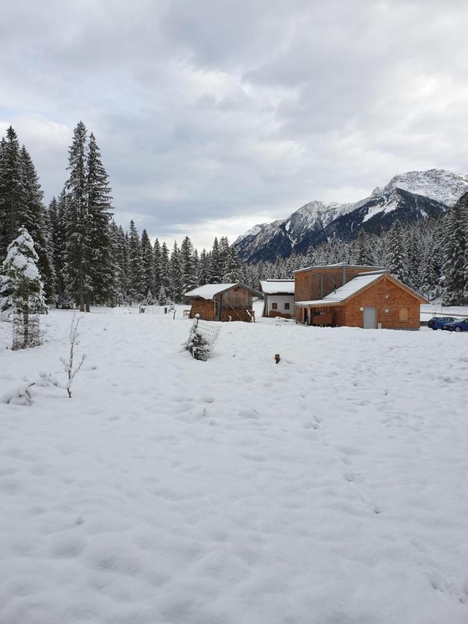 Hotel Ammerwald Alm à Plansee Extérieur photo