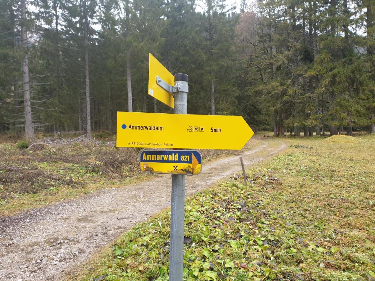Ammerwald Alm Plansee Extérieur photo