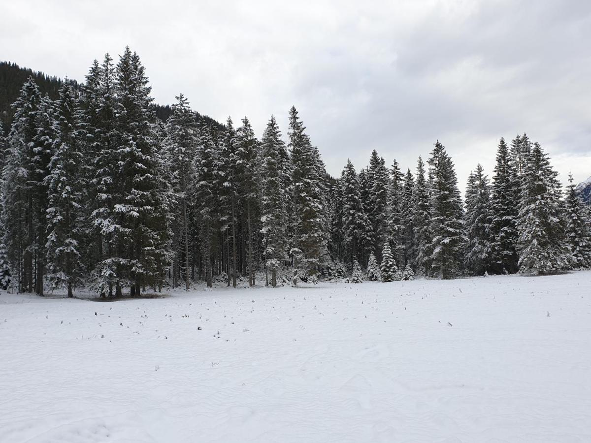 Ammerwald Alm Plansee Extérieur photo