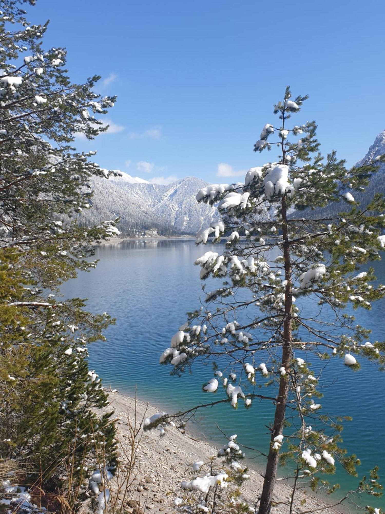 Hotel Ammerwald Alm à Plansee Extérieur photo